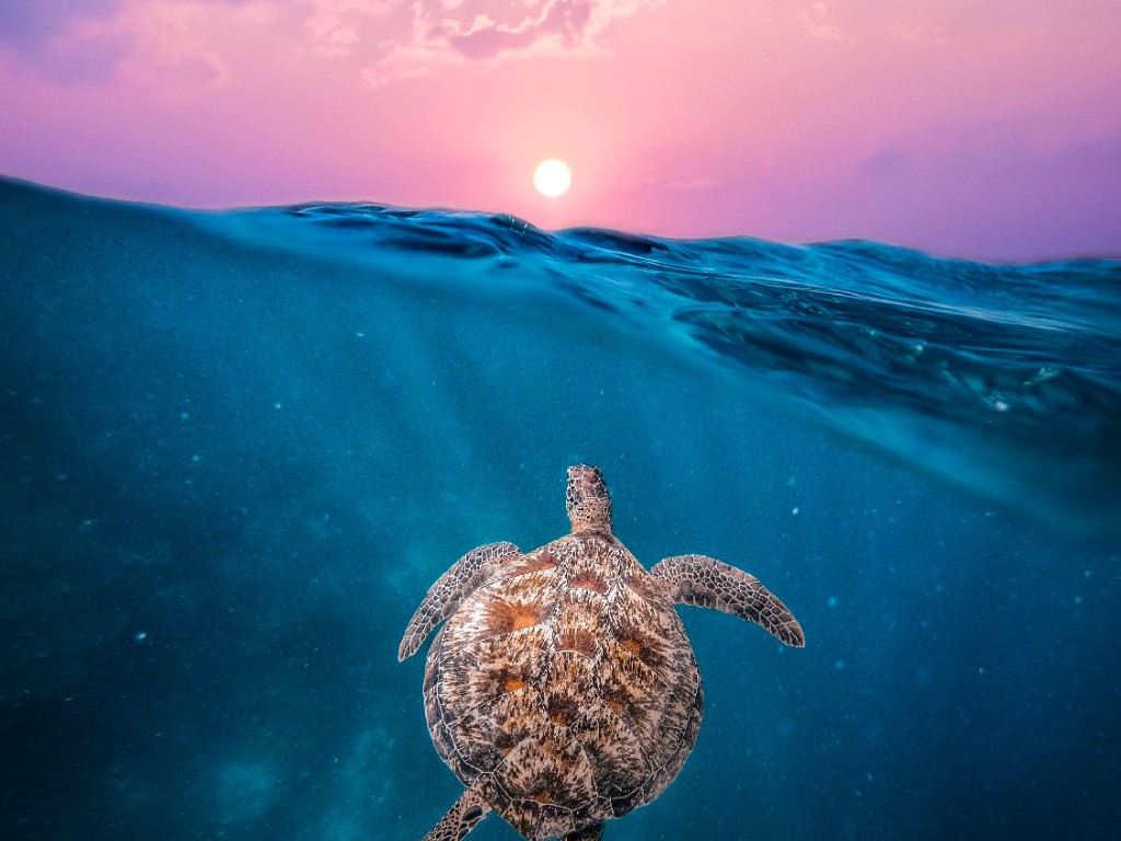 Flights to Miami 2023/2024 Flights to Miami from UK Virgin Atlantic